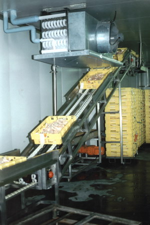 Poultry Industry Conveyors